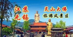 乱艹视频大全黄色江苏无锡灵山大佛旅游风景区