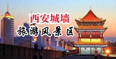 日bb视频在线播放中国陕西-西安城墙旅游风景区